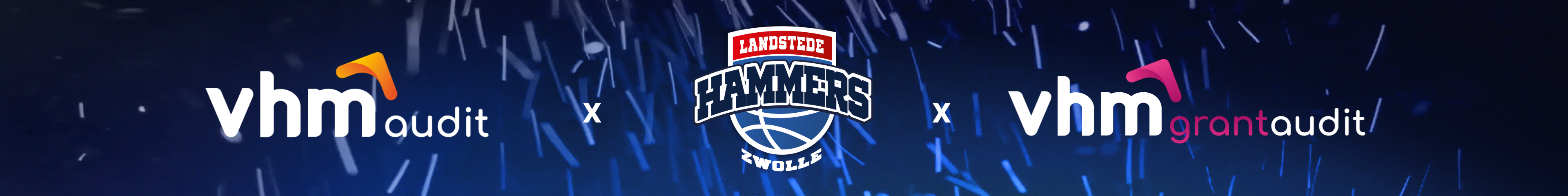 VHM audit × Landstede Hammers × VHM grant audit